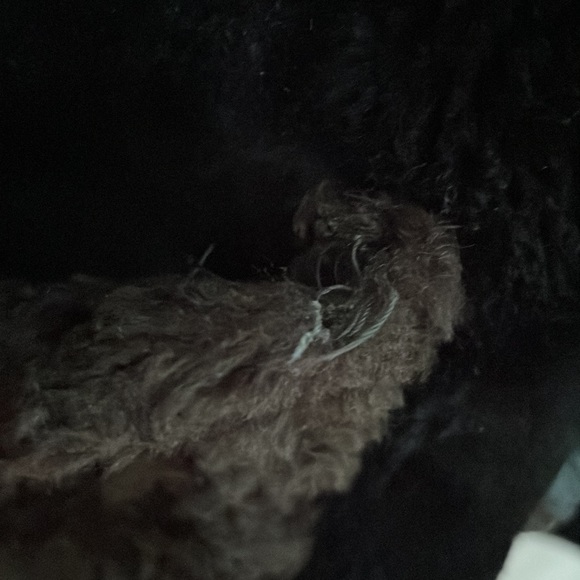 Vintage Fur Coat/Jacket Styled by Davis of Boston - Picture 5 of 5